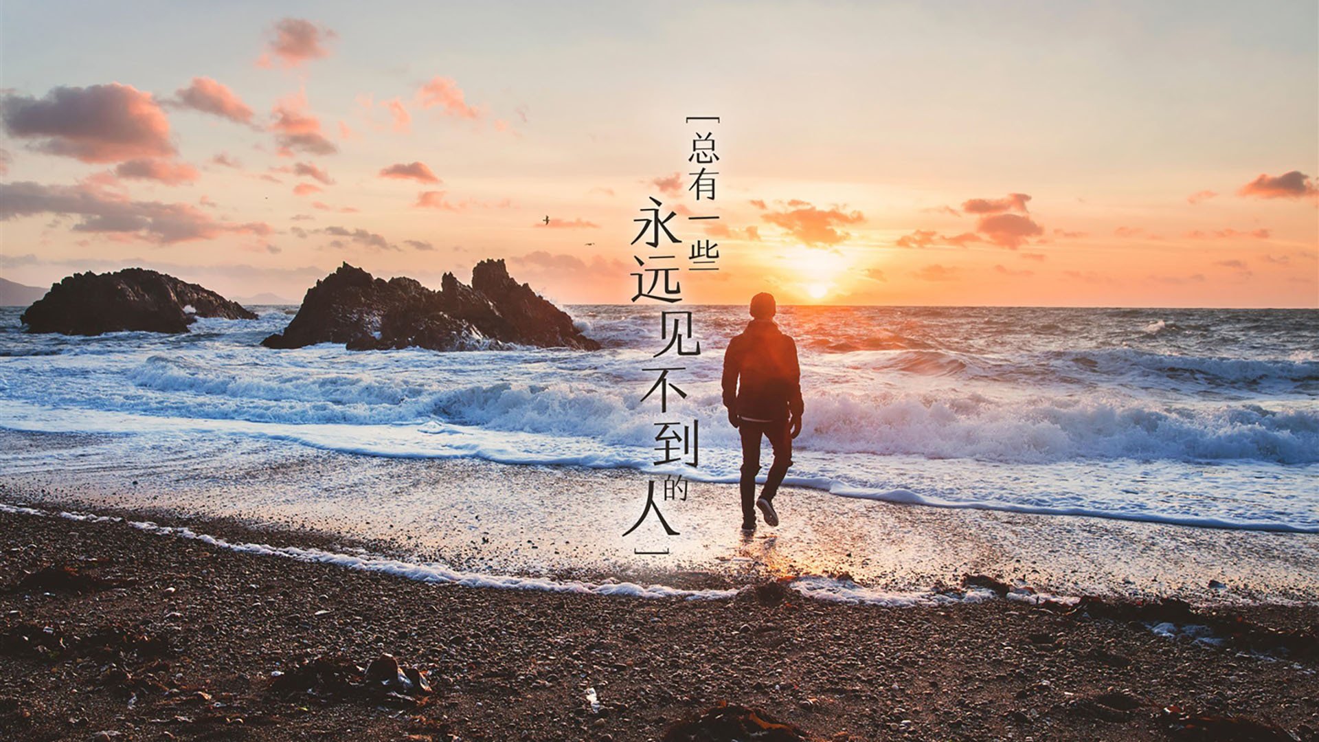 绝境之王，莫兰特与猛龙窒息防守提前终结悬念，森林狼的未来在今晚如此遥远