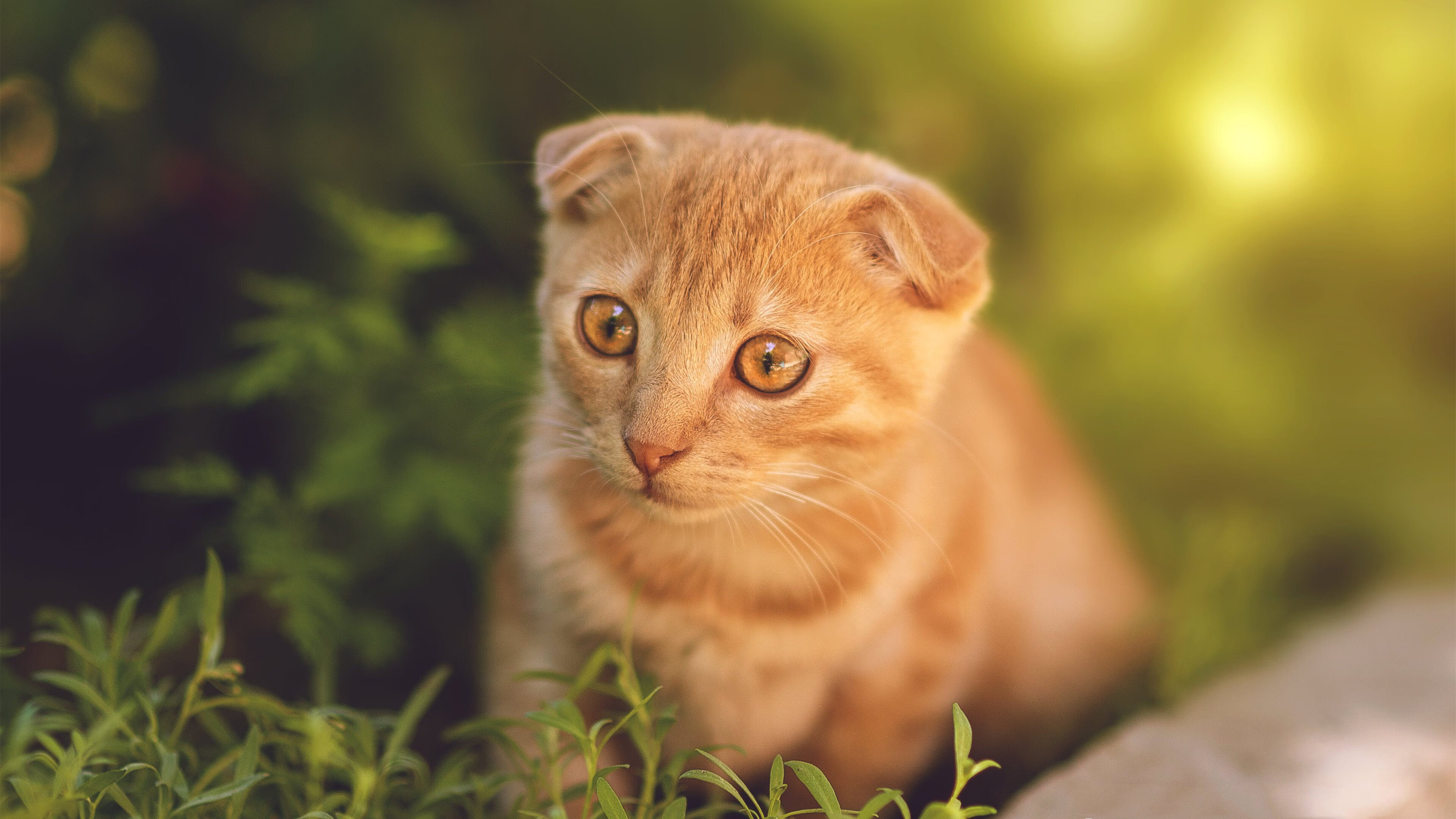 制胜三分定乾坤，贝恩关键时刻的掌控者