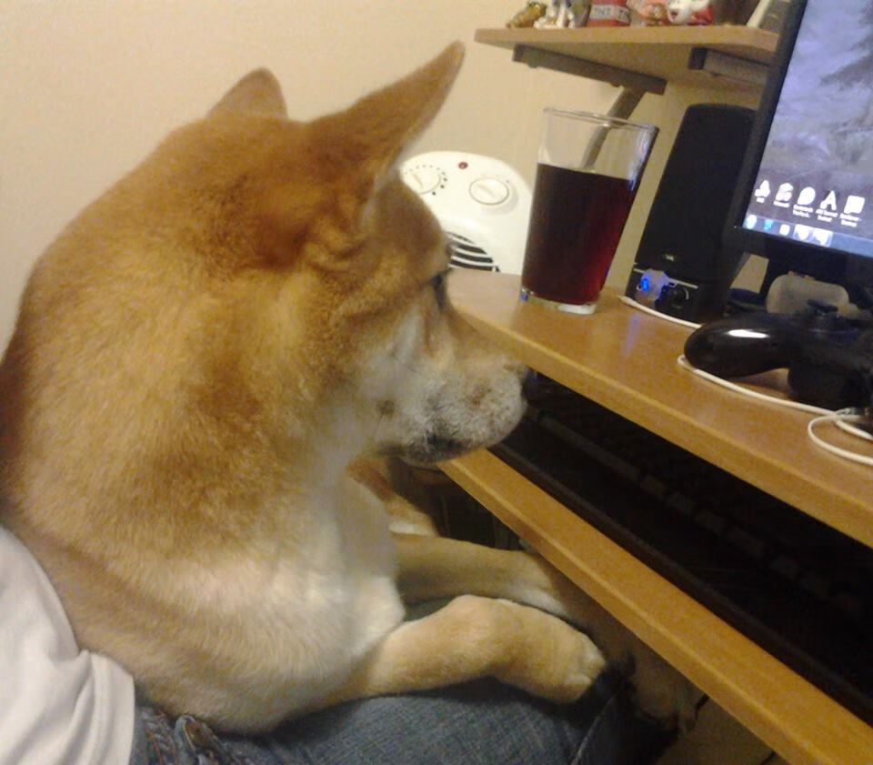 无声的轰鸣，罗德里一射定江山，定义曼城欧冠之夜