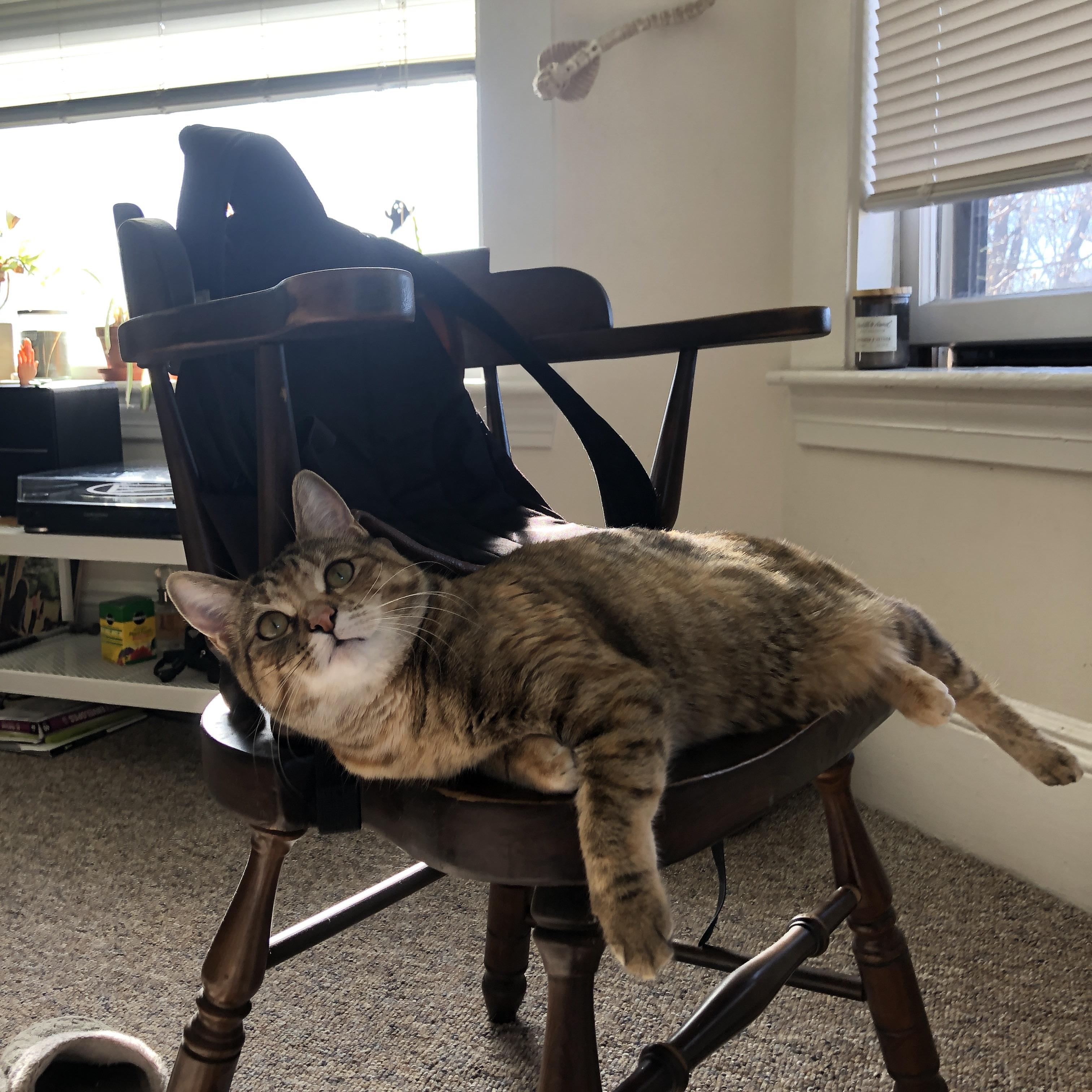 爆发与创造—弗拉霍维奇的锋芒与全黑队的加时史诗