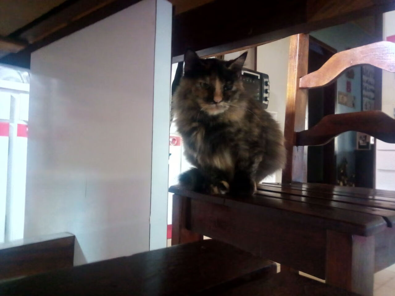 风暴眼恩比德，当独角兽碾碎棋盘，骑士与鹈鹕的对决沦为背景噪音