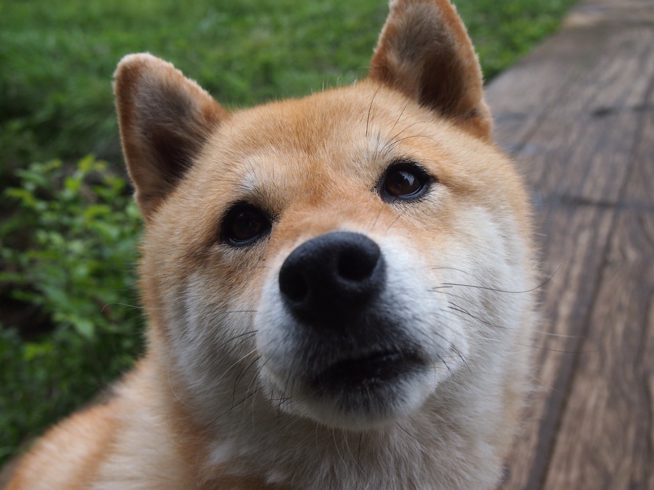 越过所有怀疑的锚点，霍勒迪的证明与独行侠的无声宣告