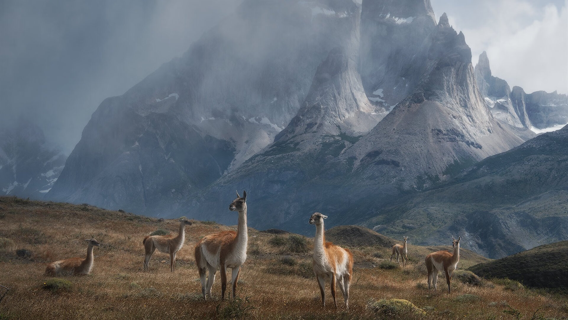 英格拉姆的金线，当奇才用一针穿透马刺的银黑铠甲