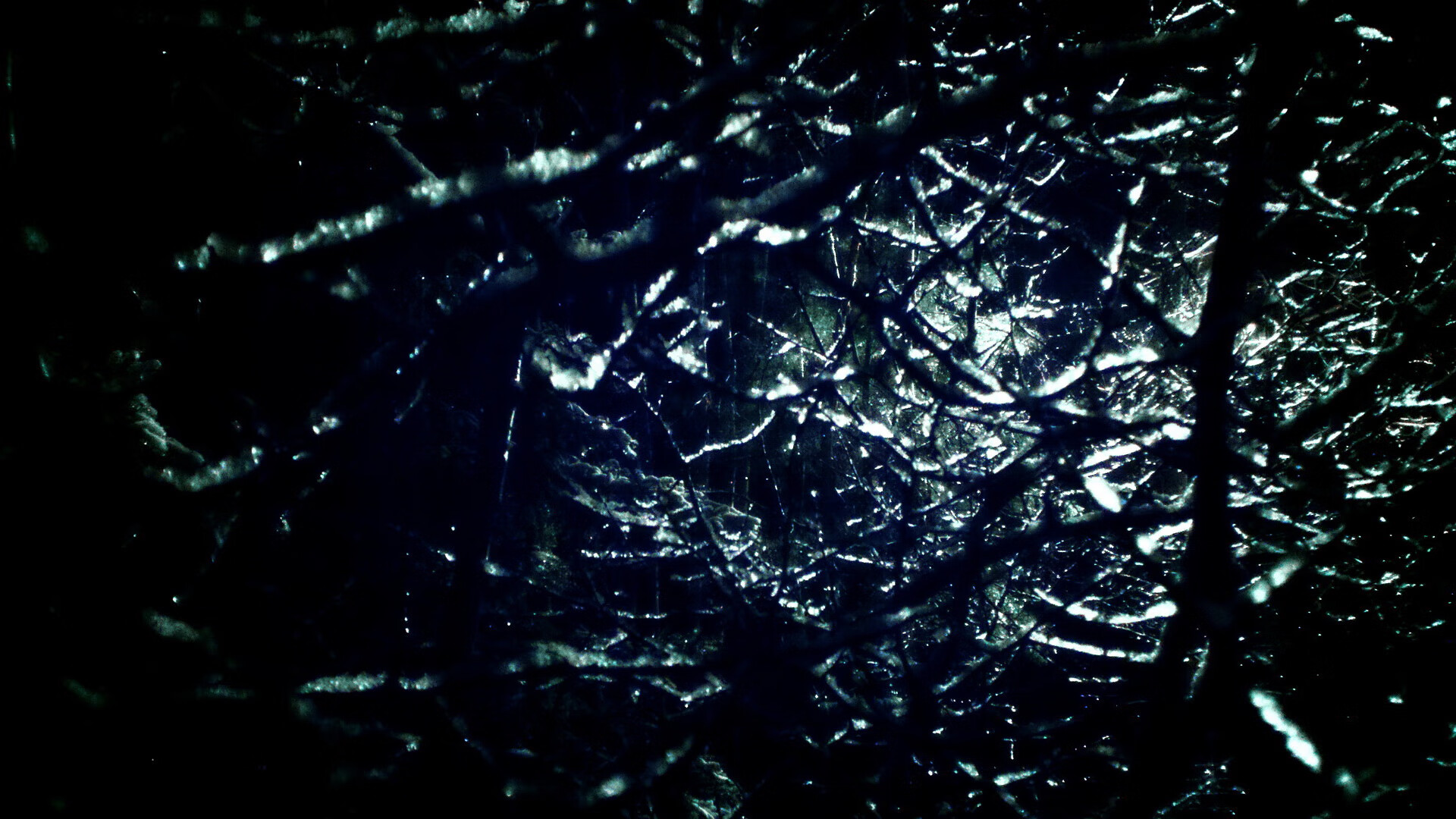 双重奏，楚阿梅尼独舞拉开差距，澳洲袋鼠压哨绝杀沙漠之狐