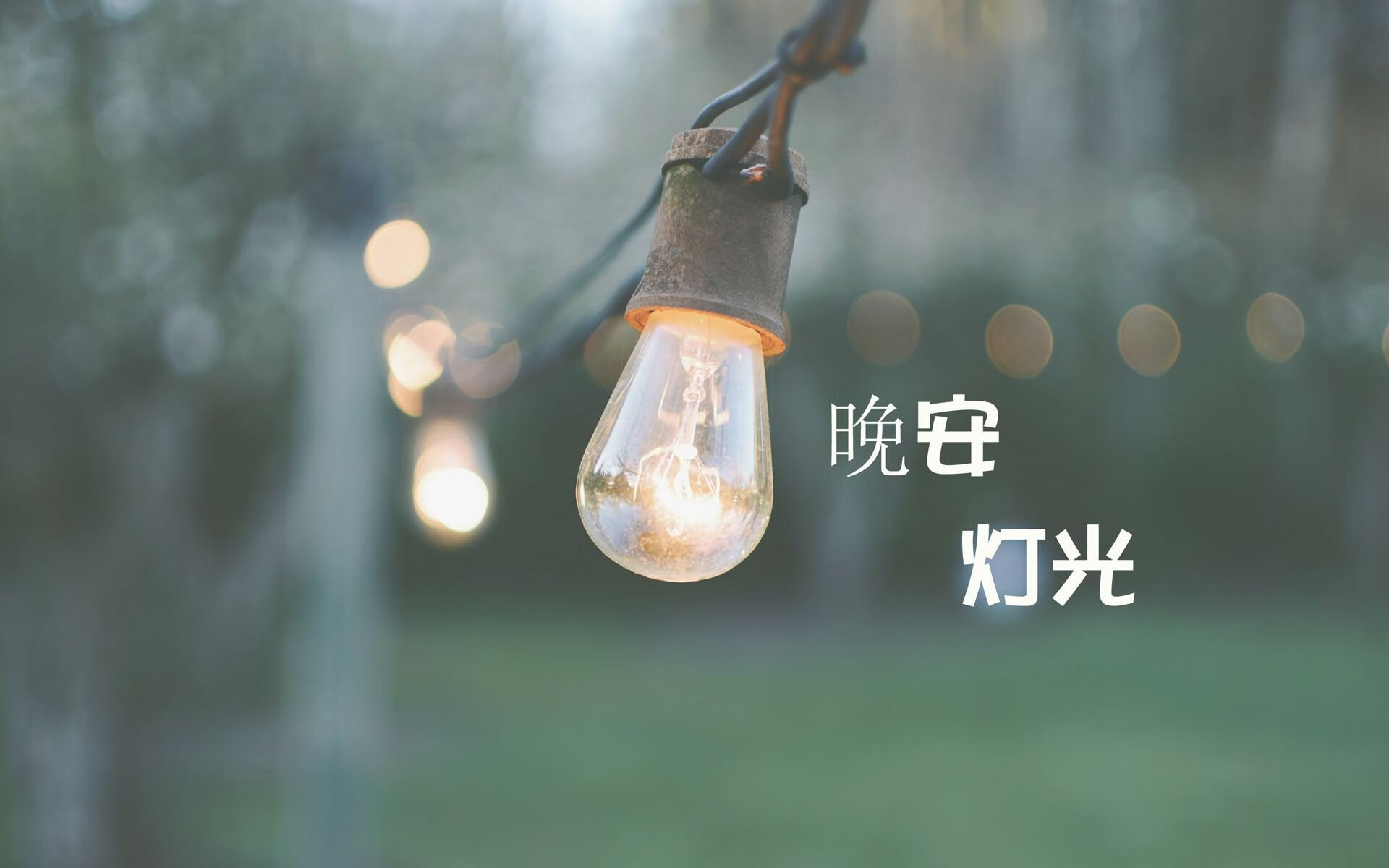 蓝武士的异乡人,萨内替补绝杀,世界杯D组上演唯一性神迹